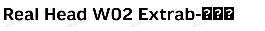 Real Head W02 Extrab字体转换